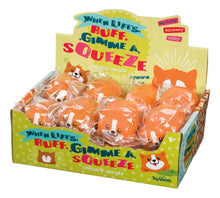 Load image into Gallery viewer, Chubby Corgis Squeeze Toy