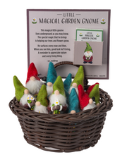 Load image into Gallery viewer, Little Magical Garden Gnome Pocket Charm