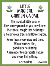 Load image into Gallery viewer, Little Magical Garden Gnome Pocket Charm