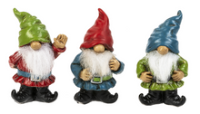 Load image into Gallery viewer, good luck gnomes charm pocket token