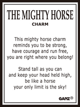 Load image into Gallery viewer, The Mighty Horse Charms