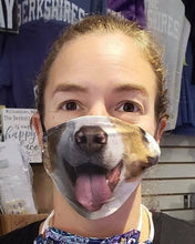Load image into Gallery viewer, Fun Animal Face Mask