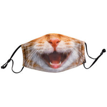 Load image into Gallery viewer, Fun Animal Face Mask