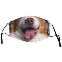 Load image into Gallery viewer, Fun Animal Face Mask