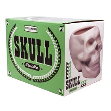 Load image into Gallery viewer, Bone Skull Planter