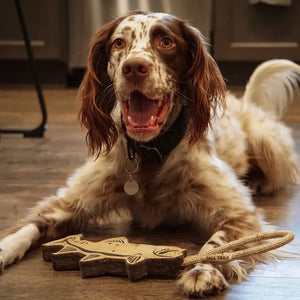 Tall Tails Natural Leather Trout Tug Dog Toy - 16