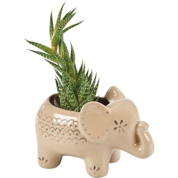 elephant succulent pot Primitives by Kathy Elephant Decorative Planter