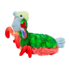 Load image into Gallery viewer, Punchie Peacock Mantis Shrimp