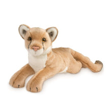 Load image into Gallery viewer, Kelso Mountain Lion