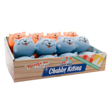 Load image into Gallery viewer, Farm Fresh Chubby Kitties, 3 Inch, Assorted Squishy Toy