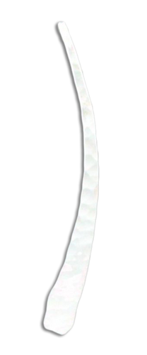 F21m-ss long hammered earring