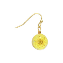 Load image into Gallery viewer, Yellow Buttercup Dried Flower Earrings