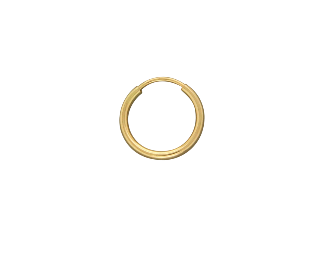 H36-gf earring