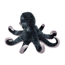 Load image into Gallery viewer, Winky Octopus