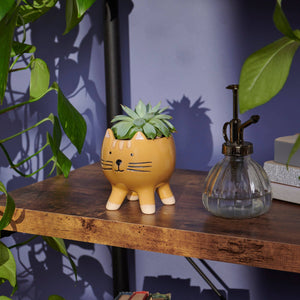 Tabby Cat Planter