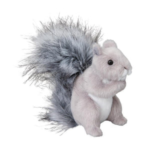 Shasta Gray Squrrel