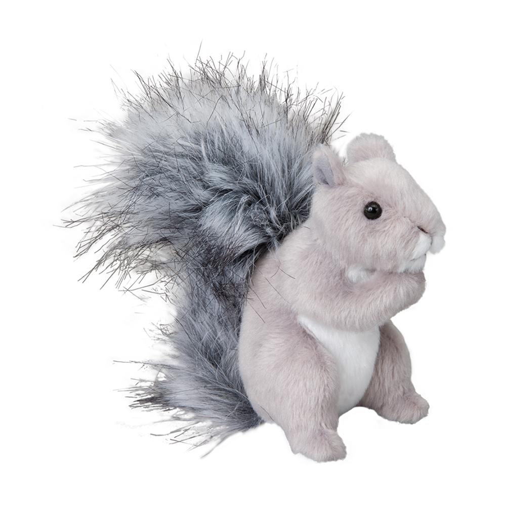 Shasta Gray Squrrel