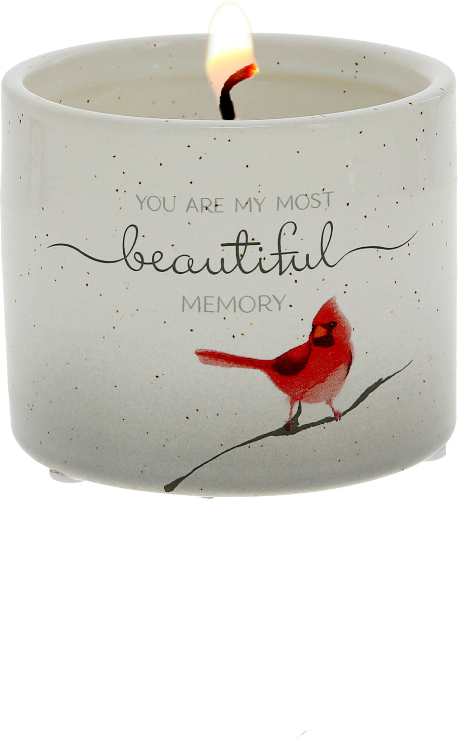 Beautiful Memory - 8 oz - 100% Soy Wax Reveal Double Wick Candle Scent: Tranquility