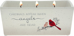 Cardinals Appear - 12 oz - 100% Soy Wax Reveal Triple Wick Candle Scent: Tranquility