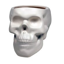 Load image into Gallery viewer, Bone Skull Planter