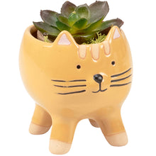 Load image into Gallery viewer, Tabby Cat Planter