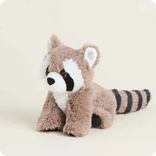 Load image into Gallery viewer, Raccoon Warmies Junior