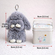 Load image into Gallery viewer, Bao Bunny™ Furry Kawaii Plush Keychain Mystery Tin