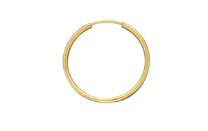 H39-gf Earring