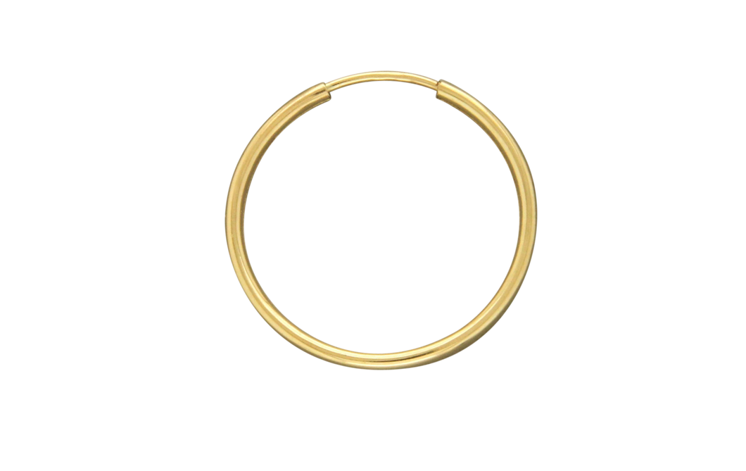 H39-gf Earring