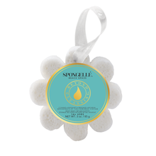 Load image into Gallery viewer, Wildflowers Assorted  | Wild Flowers  | Soap Sponges