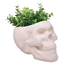 Load image into Gallery viewer, Bone Skull Planter