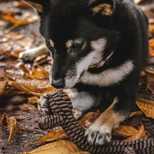 Tall Tails Brown Braided Stick Toy - 9"