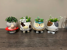 Load image into Gallery viewer, Brown Cow Footsie Planter
