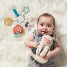 Load image into Gallery viewer, Bitzy Busy Gift Set™