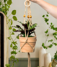 Load image into Gallery viewer, Seed &amp; Sprout Let's Hang Macrame Plant Hanger