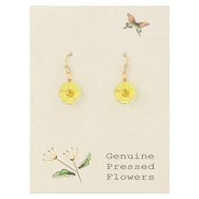 Load image into Gallery viewer, Yellow Buttercup Dried Flower Earrings
