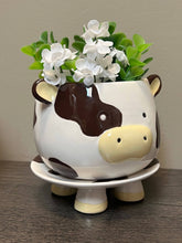 Load image into Gallery viewer, Brown Cow Footsie Planter