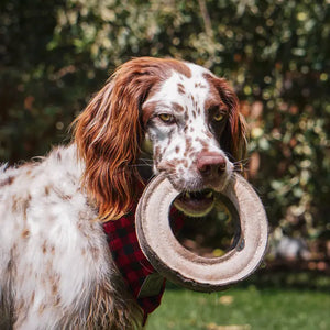 Tall Tails Natural Leather & Wool Ring Toy - 7"