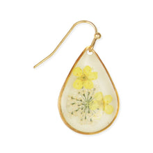 Load image into Gallery viewer, Cottage Yellow Dried Flower Gold Teardrop Earrings