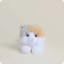 Load image into Gallery viewer, Calico Cat Warmies Junior