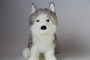 Shadow White Wolf