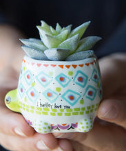 Load image into Gallery viewer, Natural Life Turtle Faux Succulent