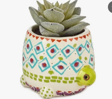 Load image into Gallery viewer, Natural Life Turtle Faux Succulent