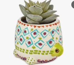 Natural Life Turtle Faux Succulent