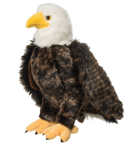 Adler Bald Eagle