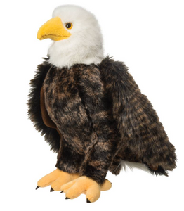 Adler Bald Eagle