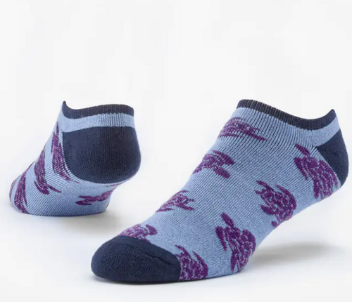 Organic Cotton Turtles Blue Footie Socks