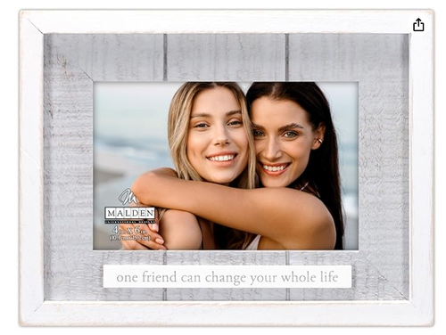 4x6 friend change your life frame