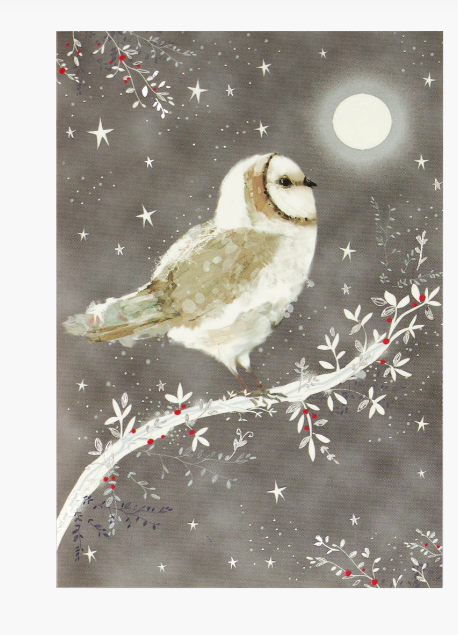 Starry Night Owl Small Boxed Holiday Cards