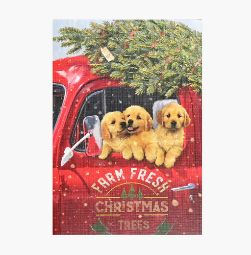 Festive Pups Small Boxed Holiday Cards